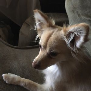 Meet your Posher, Mark